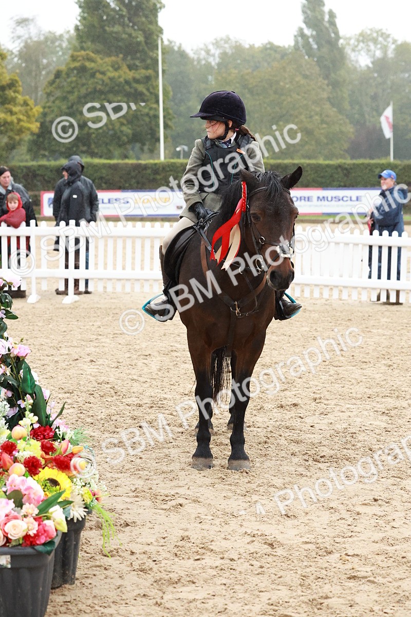 SBM_73616 - Supreme Championship Junior Pony 60cm & 65cm