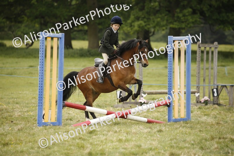 20250517-0898 - Class 2 - 30cm Off Lead Rein