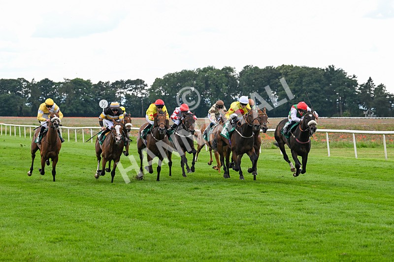 170724-Race 5-Abruzzo Mia-0226 - Race 5