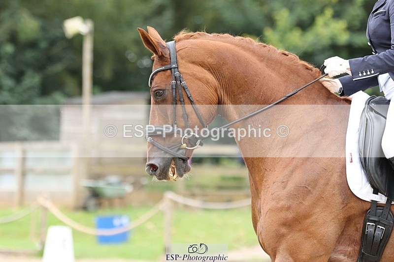 240810-141311-03463 - 167-Rachel.Tetley-Bono