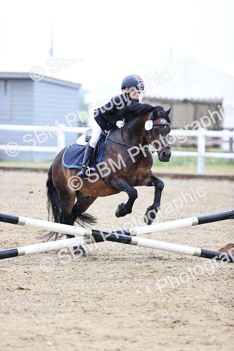 SBM_000081 - Class 1 - 40cm