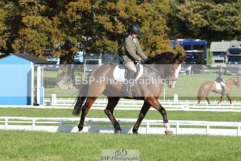 251024A-111938-09949 - D-351-Thomas.Harris