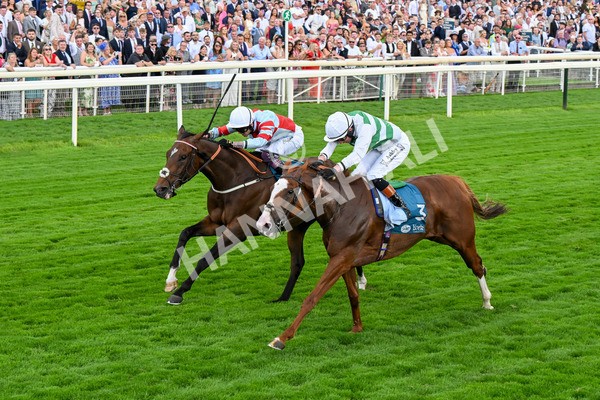 260725-Race 5-Beylerbeyi-0728 - Race 5 3.50pm Sky Bet, For The Fans Handicap
