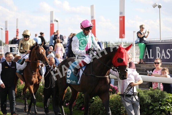 yr20082022r7-9 - Race 7 5.20pm Sky Bet Finale Stakes