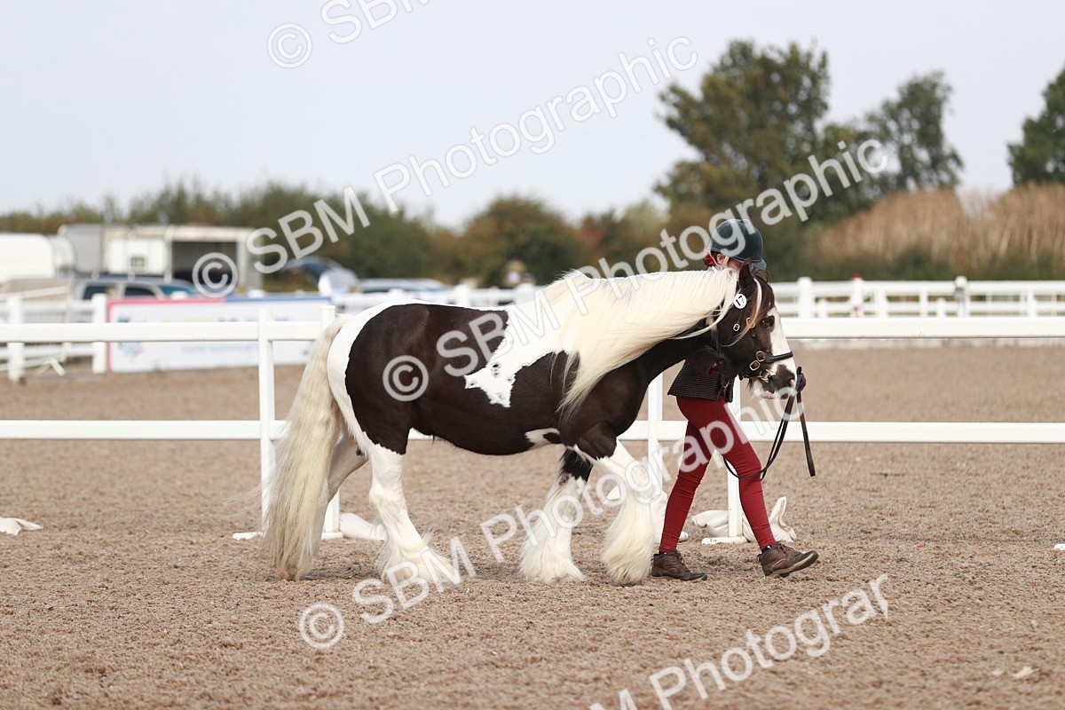 SBM_13811 - Class 209 IH Veteran Pony