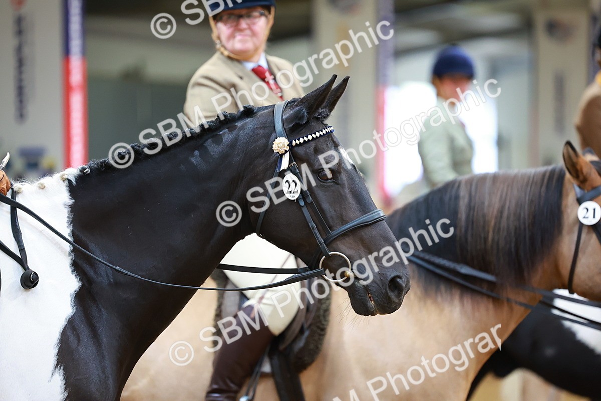 SBM_05504 - Class 11R - Ridden Veteran
