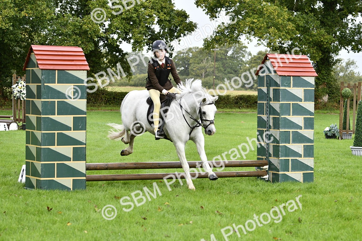 SBM_35434 - S30 - Nursery Stakes Working Hunter Pony