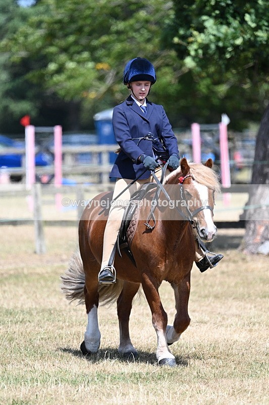 WJ7_3376 - Class 8 Ridden Veterans