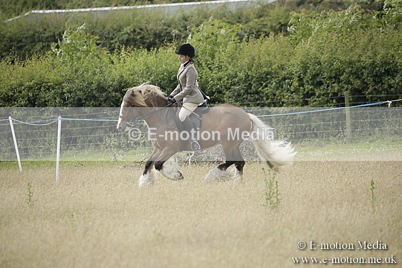 B230619-0441 - Bourne Valley Riding Club Summer Show 23/06/19