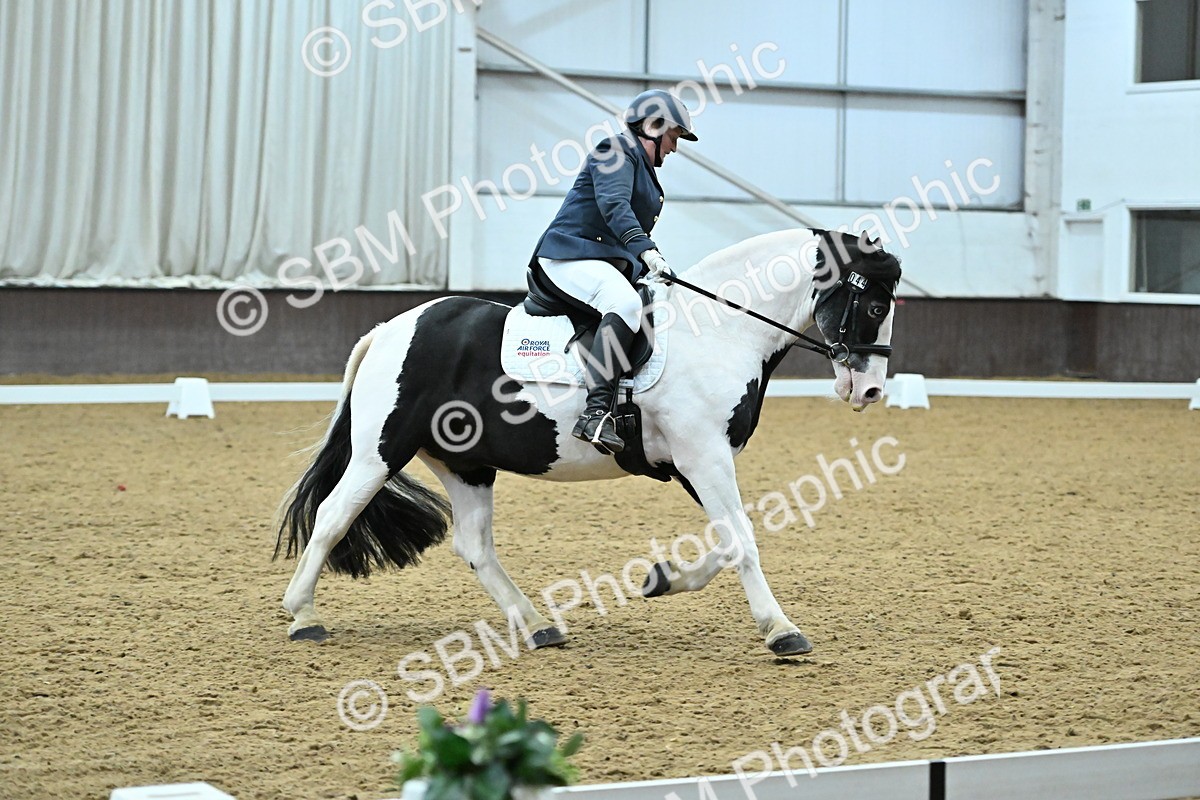 SBM_007415 - Class 81 - Novice 3