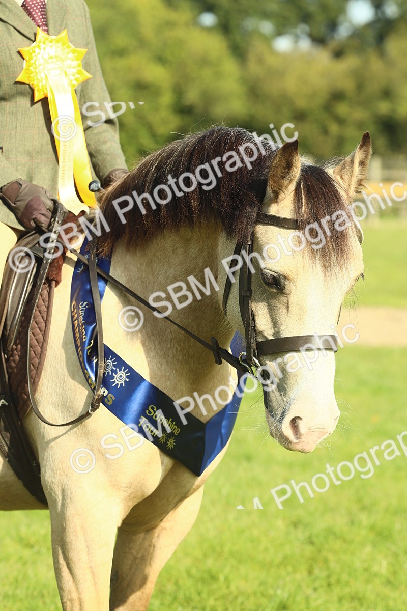 SBM_61105 - Starter Supreme Championship