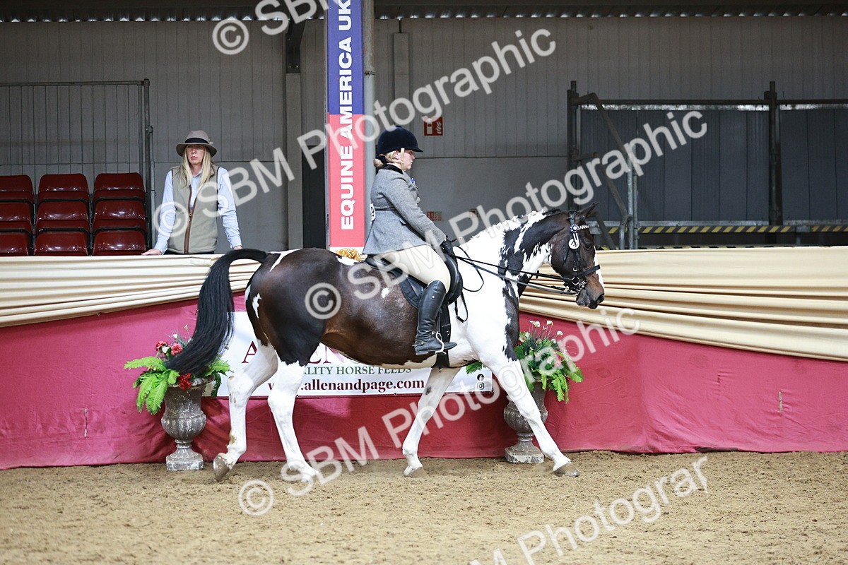 SBM_08782 - Class 12R - Regional Ridden Pre-Vet