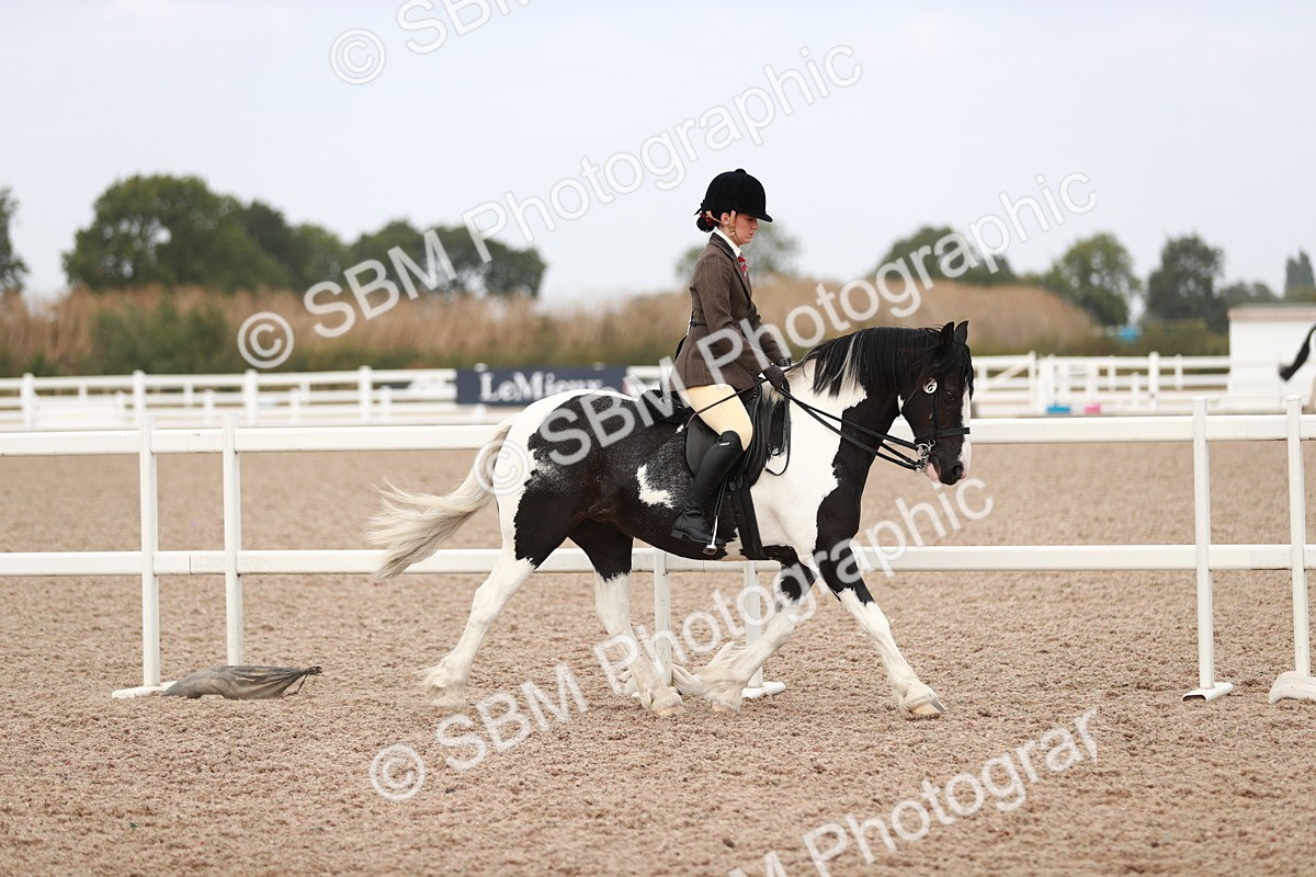 SBM_16585 - Class 214 Ridden Cob