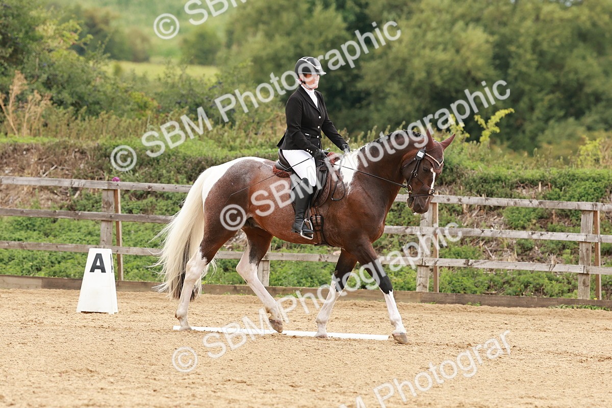 SBM_002769 - Novice 2