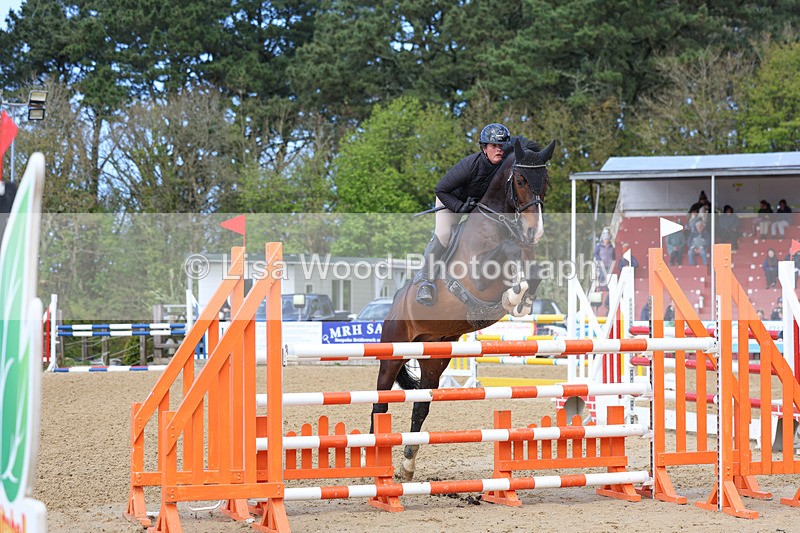 3E7A2316 - Class 8: Senior Foxhunter/1.20 open