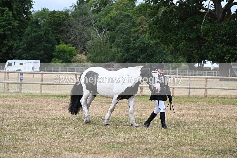 WJ6_4586 - Class 10 Coloured In-hand