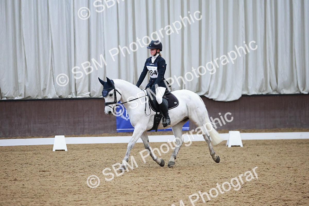 SBM_004598 - Ring 3 - International -  Working Hunter Classes 23-2-25