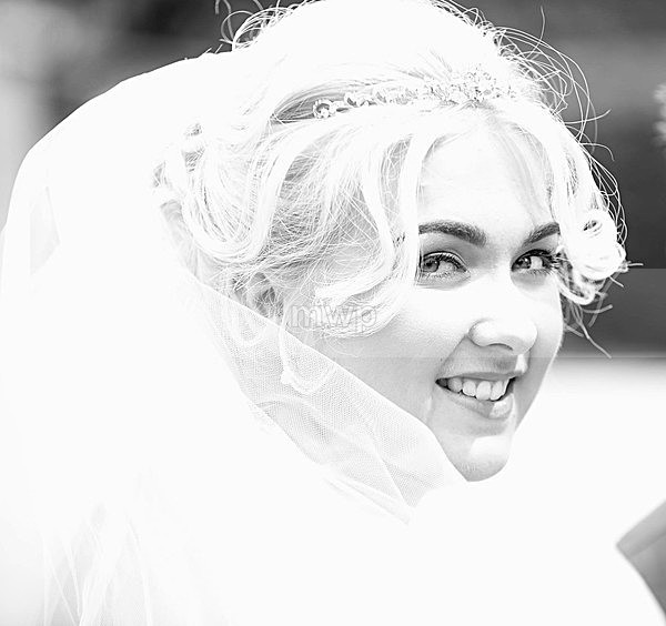 Matt  Andrea - Wedding 1 398 - Wedding Picture Samples
