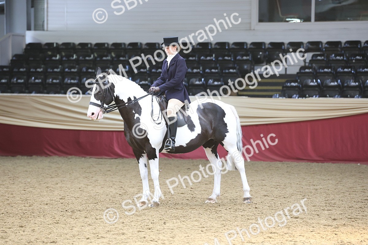 SBM_23765 - class 906 - Supreme Final - Ridden Pre Vet