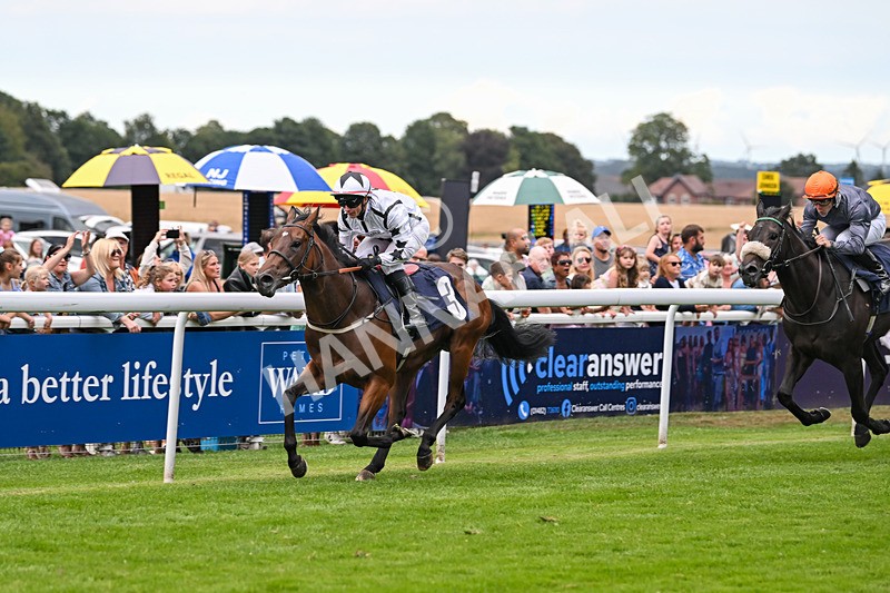 290725-Race 5-U Turn-0686 - Race 5