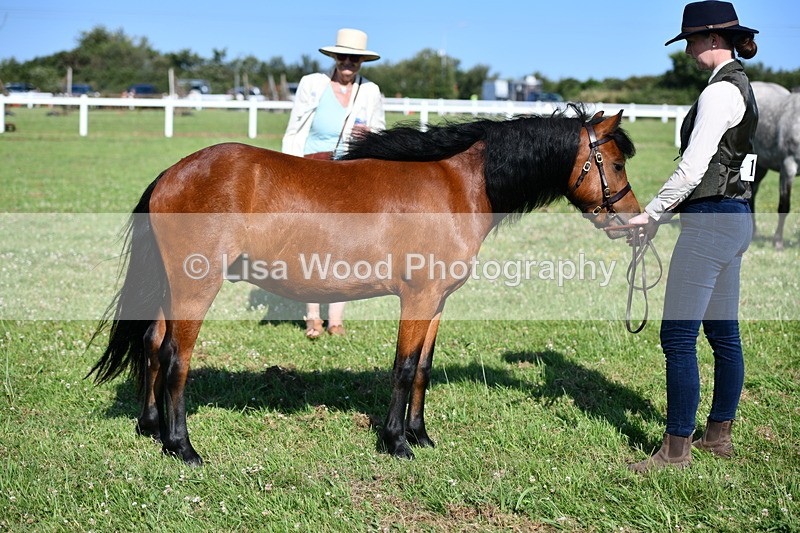 DSC_6061 - Class 51: NPS M&M 2/3 year olds