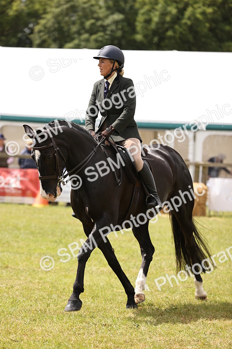 SBM_14581 - Class 88-89 - LIHS BSHA Rising Star of Ridden Hunter Type