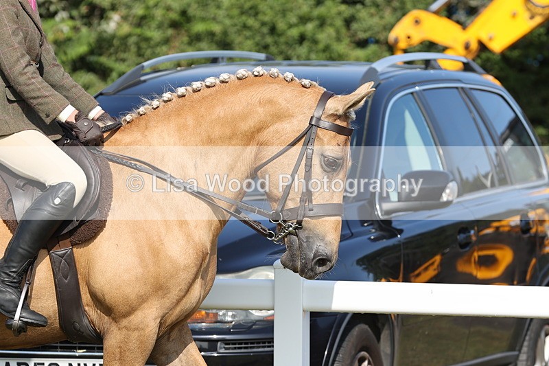 JPP_0613 - Class 16: Cornish Combination Young Rider