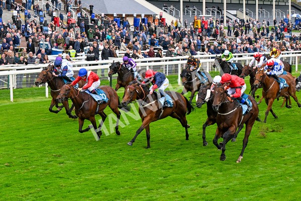 101025-Race 6-Dan Tucker-0480 - Race 6 Copper Knight Winning-Most Horse Handicap at York