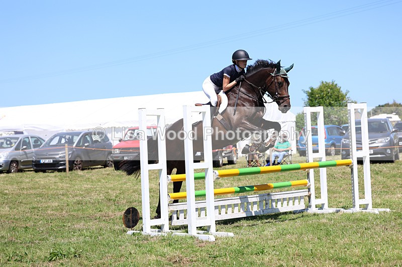 3E7A5511 - Class 9: Senior British Novice/90cm open