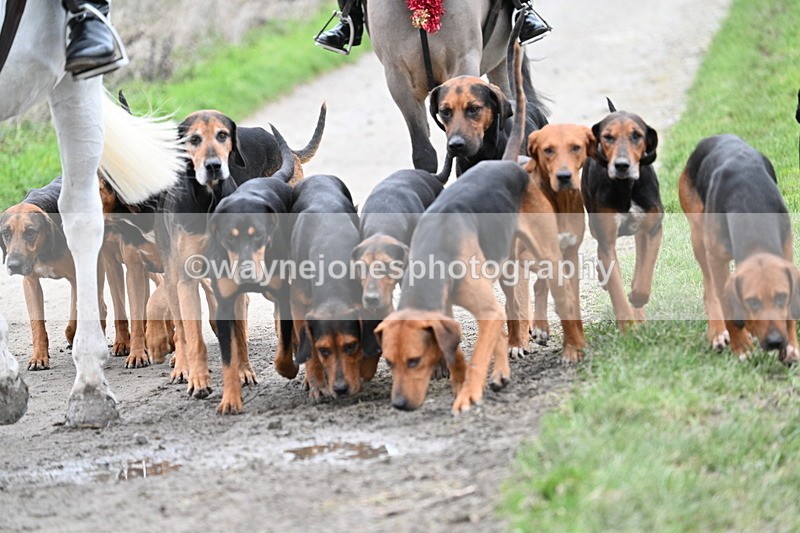 WJ7_1239 - Walk Home