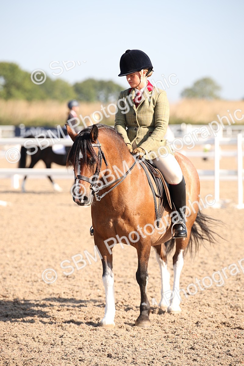 SBM_00740 - Class 14 Ridden M&M Wildcard