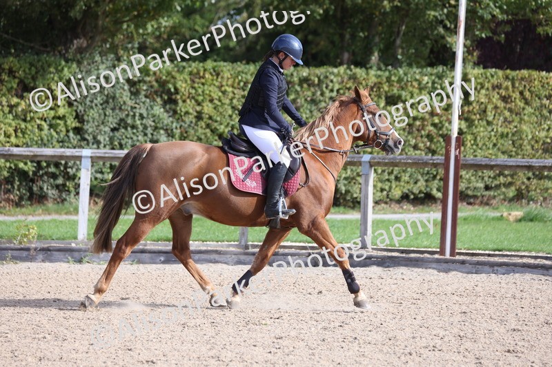 20251005-0421 - Class 3 - 60cm