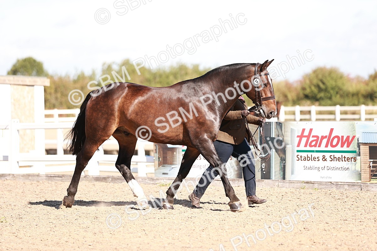 SBM_13232 - Class 405 - IH Show Cob