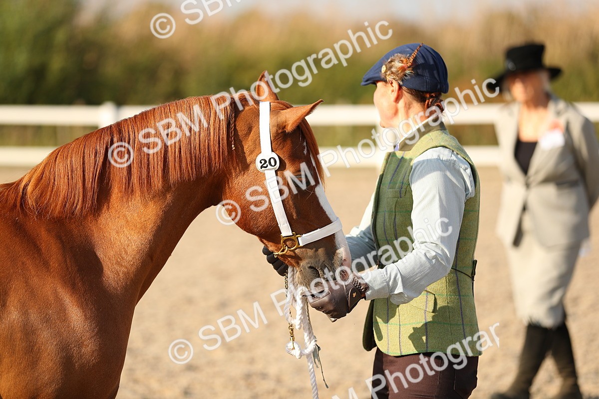 SBM_09004