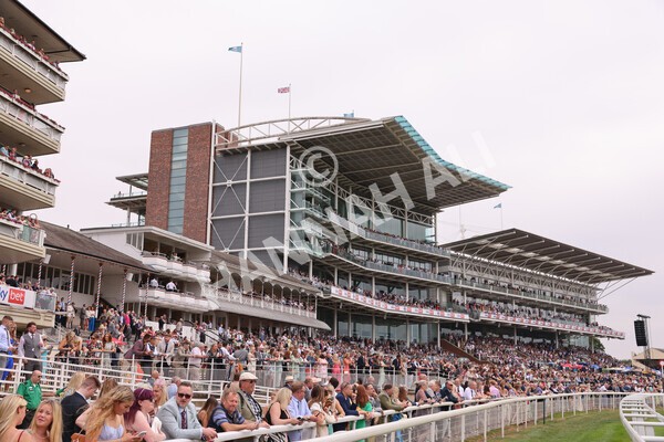 yr23072022r2-54 - Race 2 2.40pm Sky Bet Dash