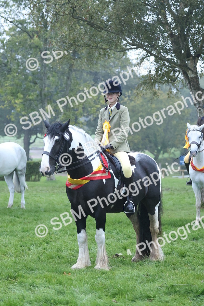 SBM_73253 - Super Supreme Championship(Sun)