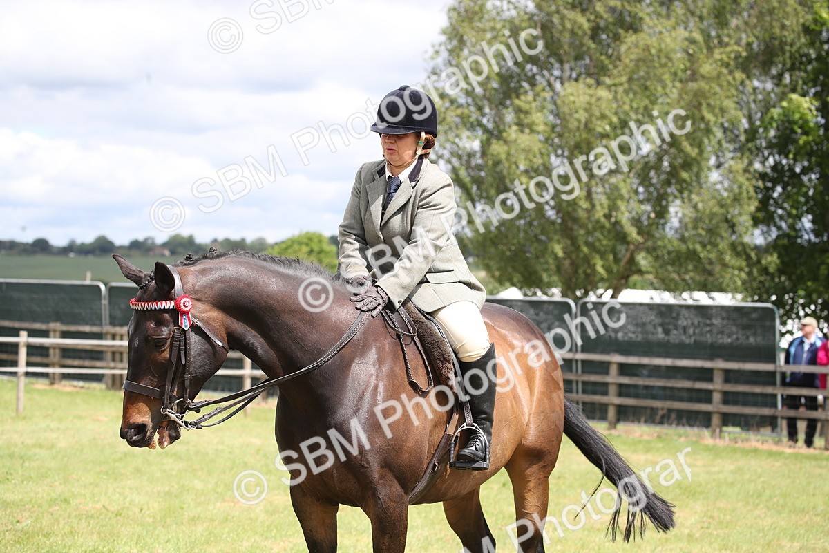 SBM_14243 - Class 113-114 - Retraining of Racehorses Ridden