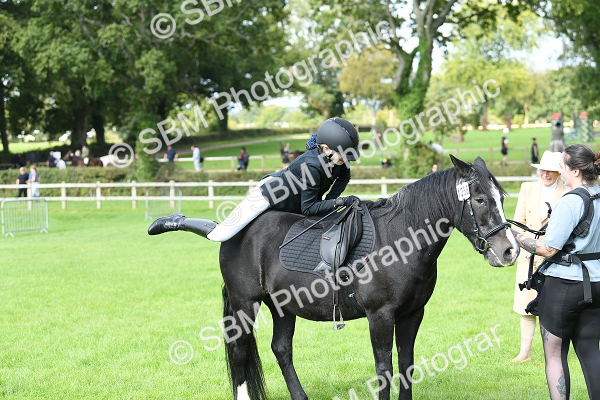 SBM_46848 - S12 - Family Horse & Pony
