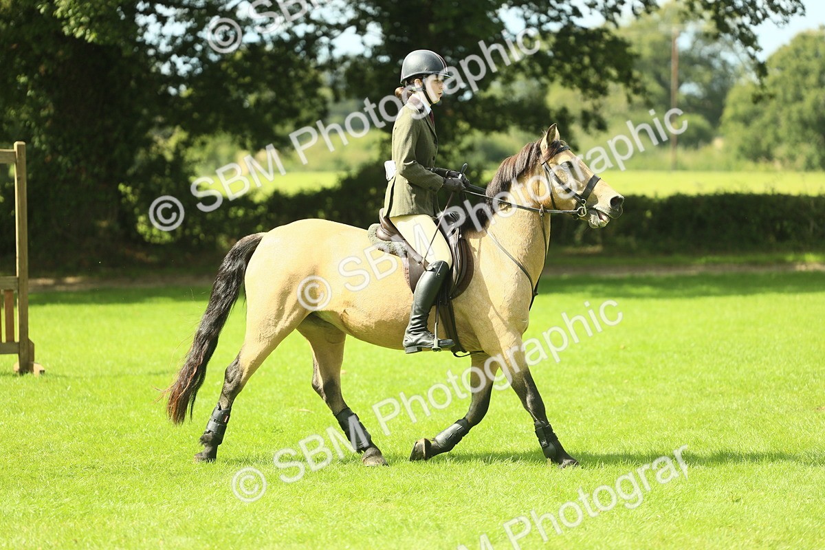 SBM_42847 - S30 - M&M Working hunter Pony