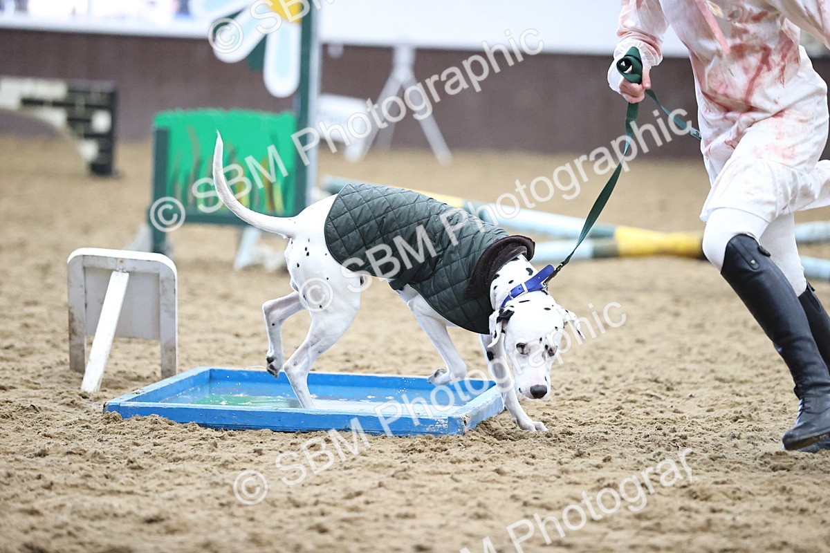 SBM_001496 - Class 3 - Horse & Hound 60cm