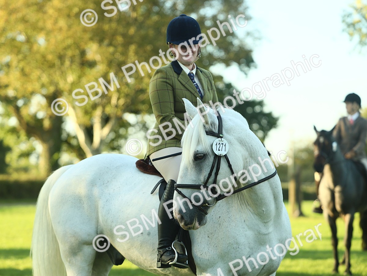 SBM_55607 - S14 - Riding Club Horse