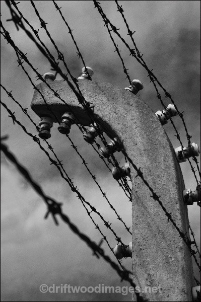 Auschwitz fence detail 2 bw - Auschwitz/Birkenau