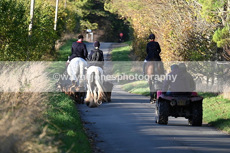 WJ7_8666 - Walk Home
