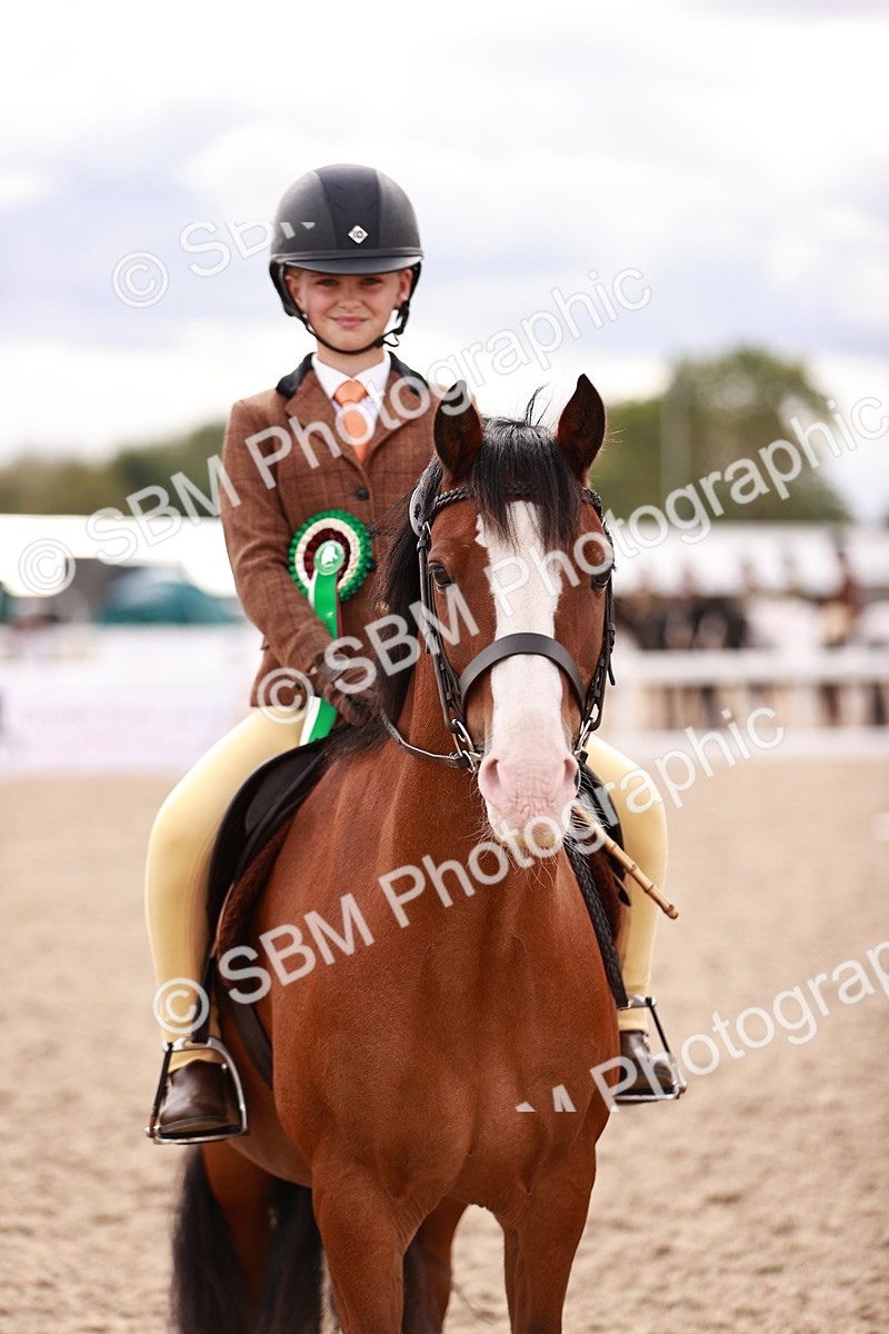 SBM_18409 - Class 418 - Best Condition - Jnr