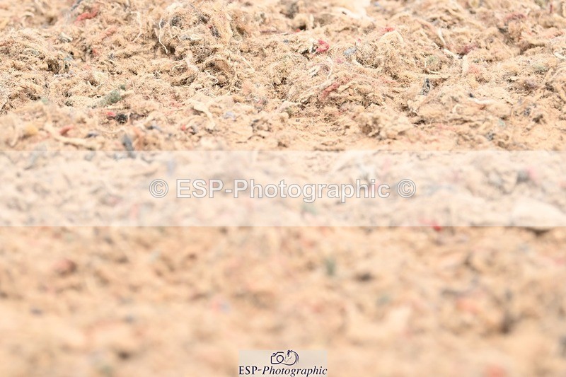 250620-113216-01929 - BD Cls 5 - Novice 6, Start to 12.10pm