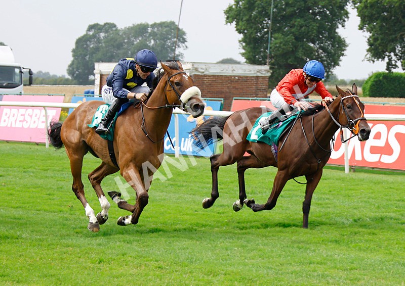 250725-Race 1-Mandarin Spirit-87779 - Race 1