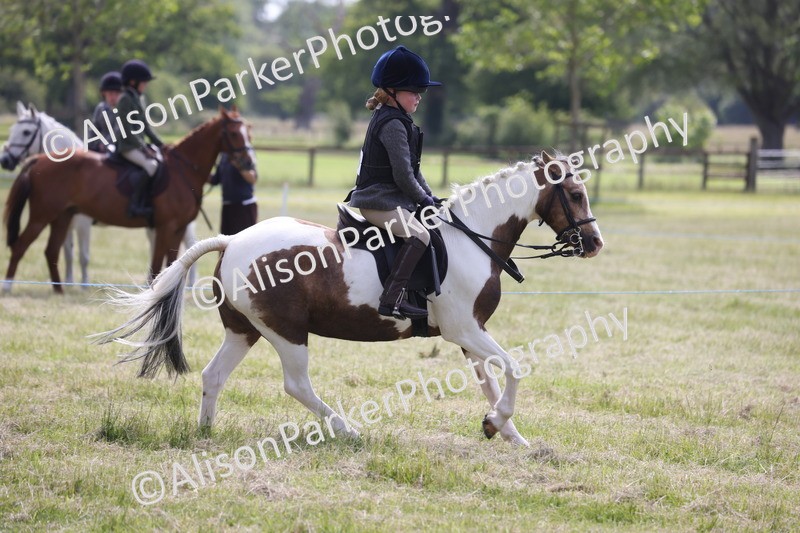 20260614-0698 - Class 20 - Beginners Working Hunter Pony