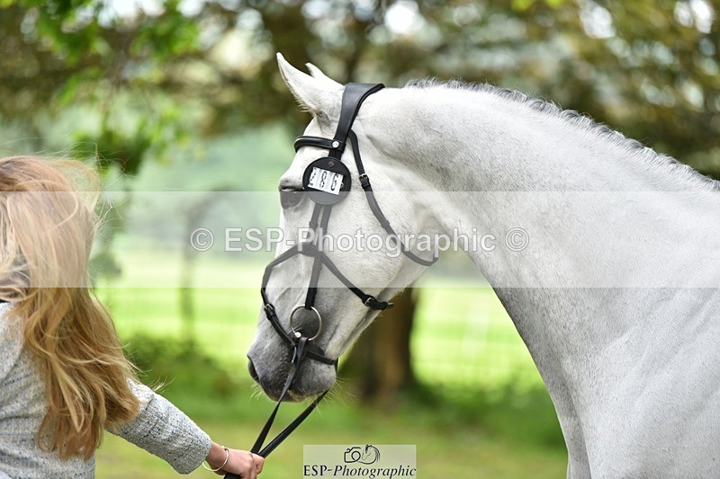 240522-172516-01599 - 286-ZIROCCO_VAN_DE_EIJKHOF_Z-Megan_Sanders