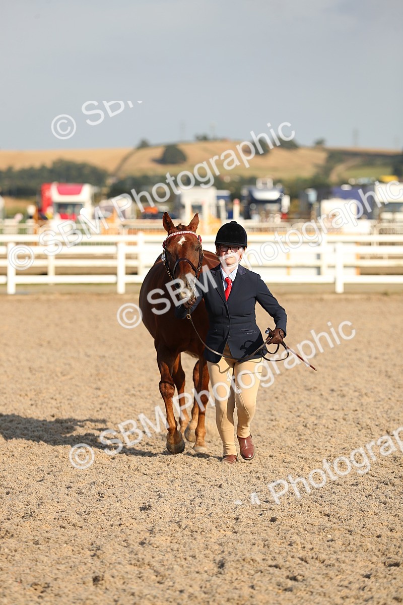 SBM_08976 - Class 29 IH Veteran Pony