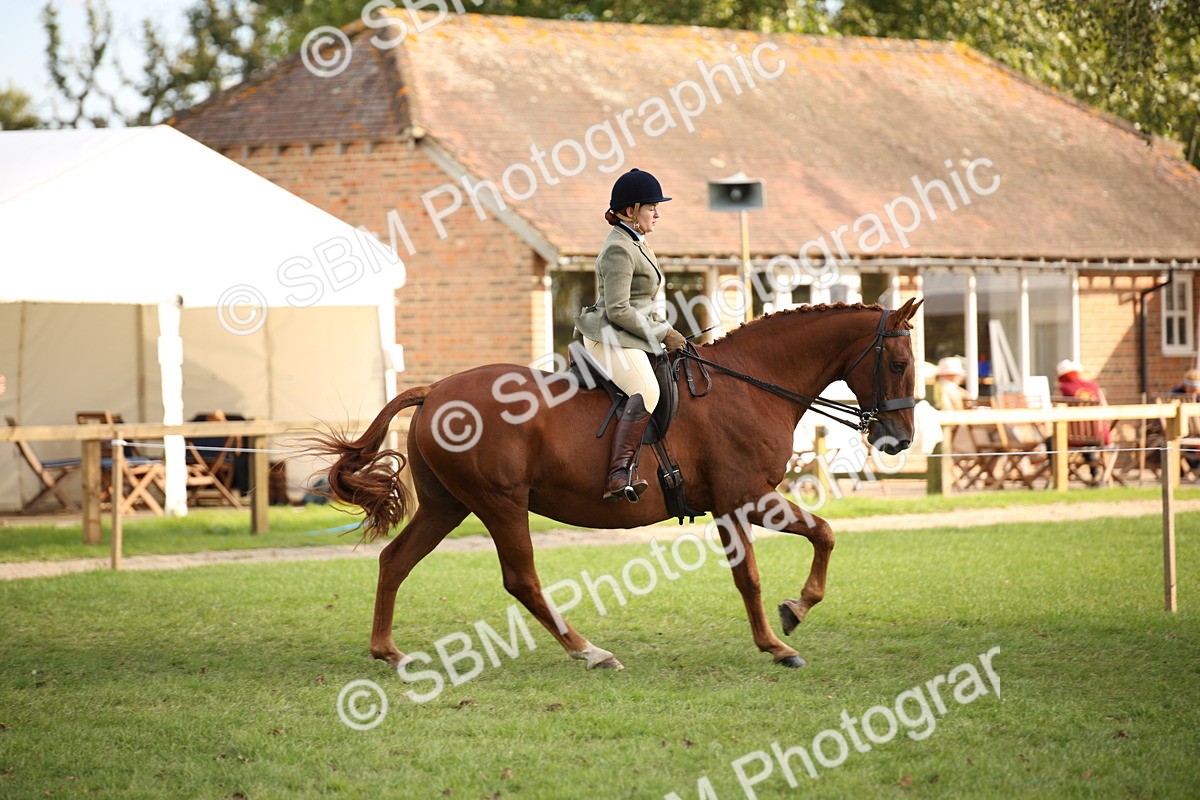 SBM_54250 - S27 - Mature Veteran - Ridden
